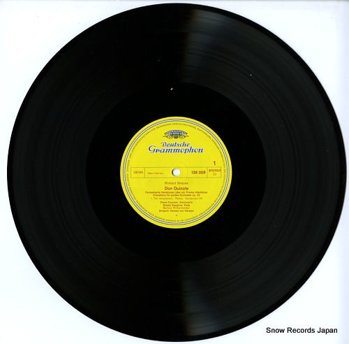 إ٥ȡե󡦥 strauss; don quixote 139009