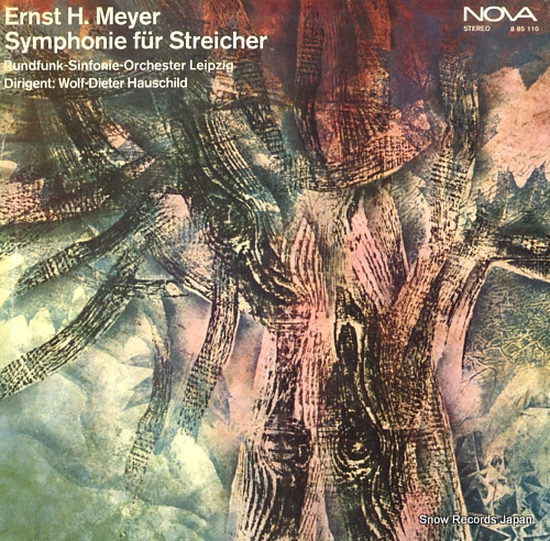 HAUSCHILD, WOLF-DIETER ernst hermann meyer; symphonie fur streicher 885110