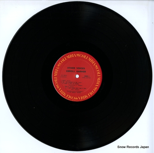 롦ʡ other voices CS9820