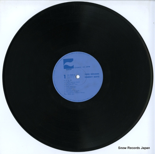 ꡼ܡ teen dreams LX-7020-A