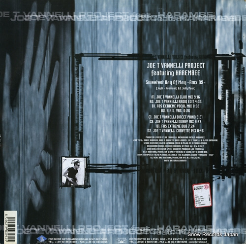 JOE T VANNELLI PROJECT sweetest day of may-rmx99 DB095