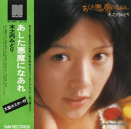 Ƿߤɤ ˤʤ NA-3003