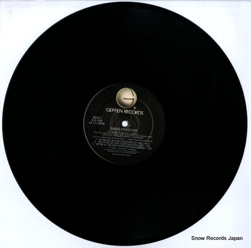 PEASTON, DAVID we're all in this together 0-21420 - disc