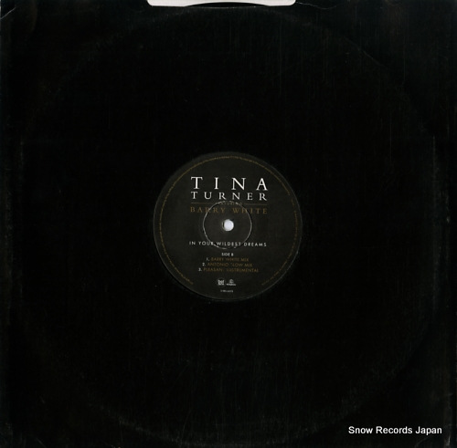 TURNER, TINA in your wildest dreams 12RDJ6451