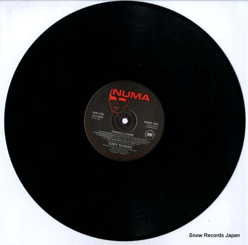 ꡼˥塼ޥ strange charm NUMA1005