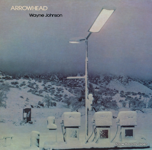 󡦥󥽥 arrowhead IC1098