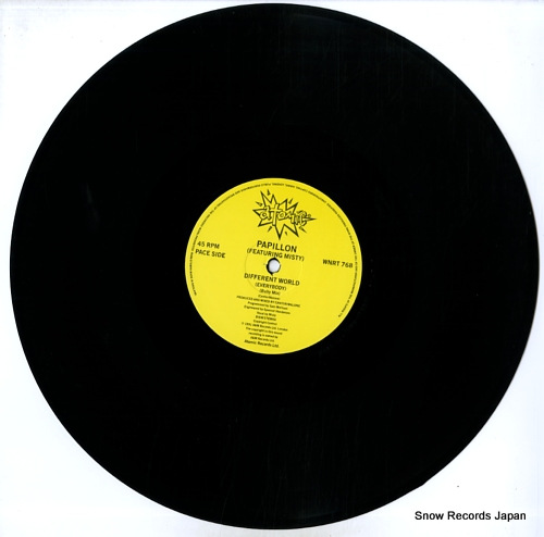 PAPILLON different world (everybody) / the bully WNRT768