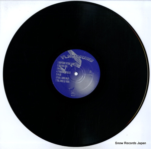 NUMB platinumb IPK-001