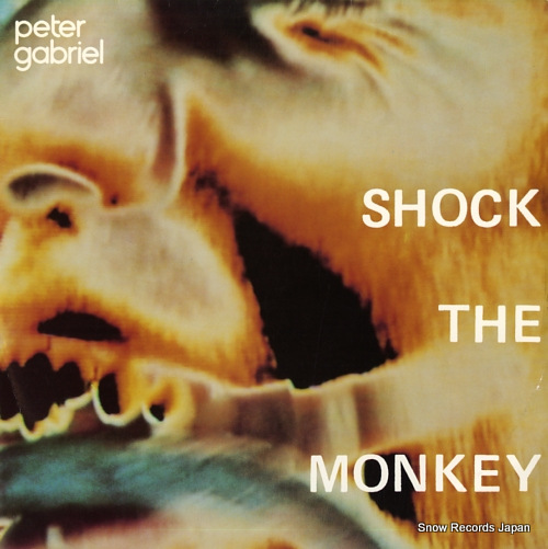 GABRIEL, PETER shock the monkey SHOCK12
