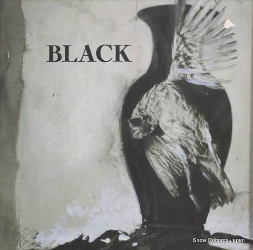 BLACK black WX137 / WE331