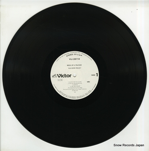 SIEGEL, DAN birds of a feather VIJ-28110