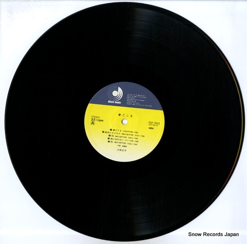 ʿ ̴ DSF-5013