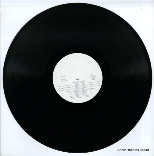 V/A nothing in common 28RS-14
