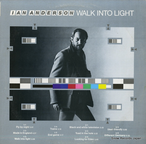 ANDERSON, IAN walk into light FV41443