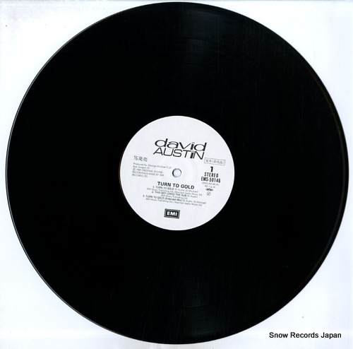 AUSTIN, DAVID turn to gold EMS-50146 - disc