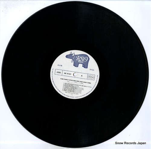 BEE GEES, THE gibb family story (bee gees and andy gibb) MI4101