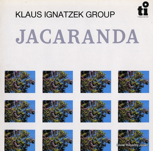 饦ʥ jacaranda SJP292