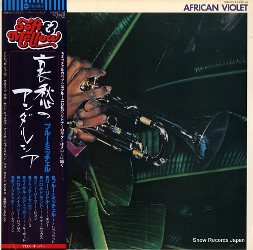 MITCHELL, BLUE african violet YX-8507-AI