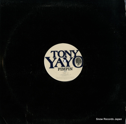 YAYO, TONY curious B0005437-11