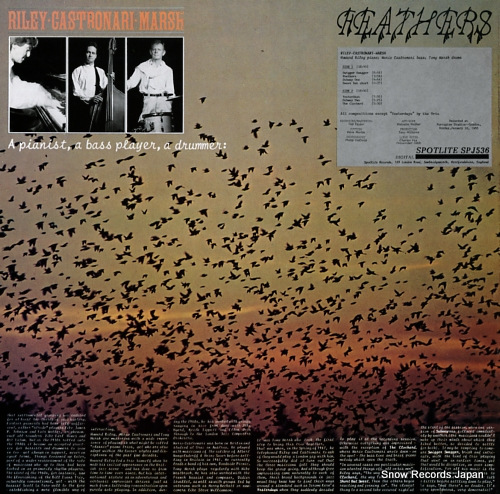 RILEY/CASTRONARI/MARSH feathers SPJ536
