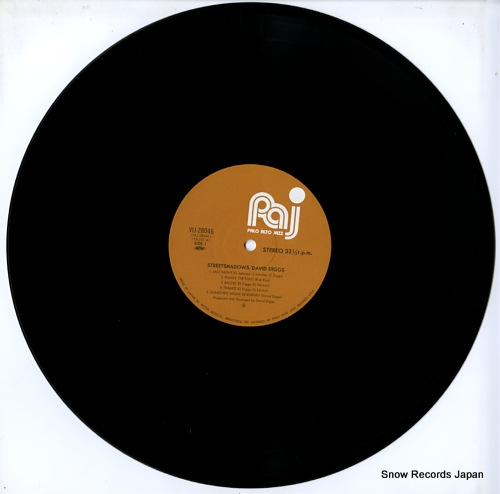 DIGGS, DAVID streetshadows VIJ-28046