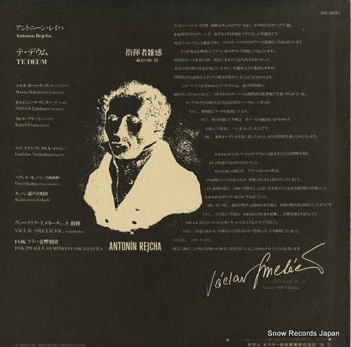 ĥա᥿ 쥤ϡơǥ VIC-2031