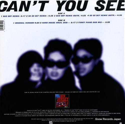 ȡ can't you see (the remixes) TB700