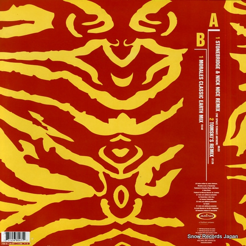 ROBINSON, JANICE earthbeat FESX33 - back cover
