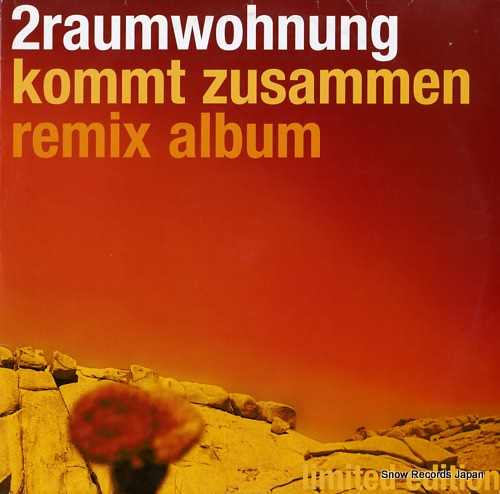 2RAUMWOHNUNG kommt zusammen remix album IT.06 - front cover