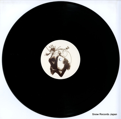 SCALDE fear of a fly ART001