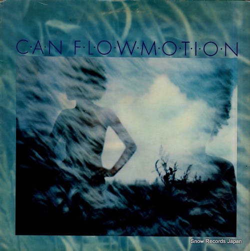  flow motion V2071