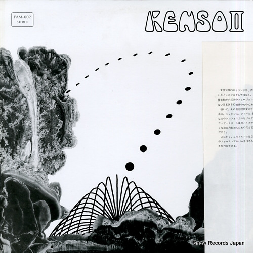 󥽡 kenso 2 PAM-002
