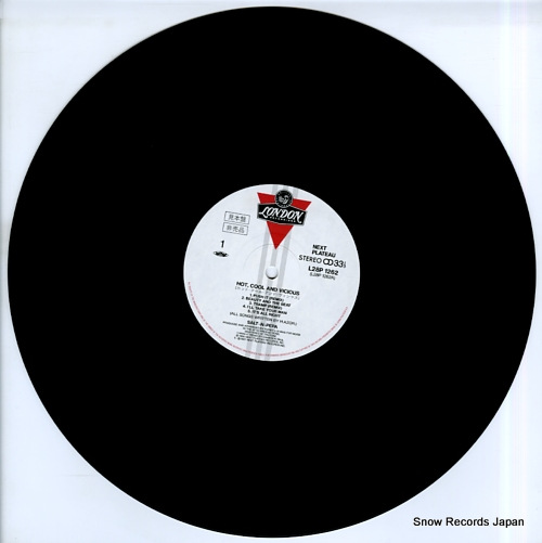 SALT-N-PEPA hot, cool and vicious L28P1262