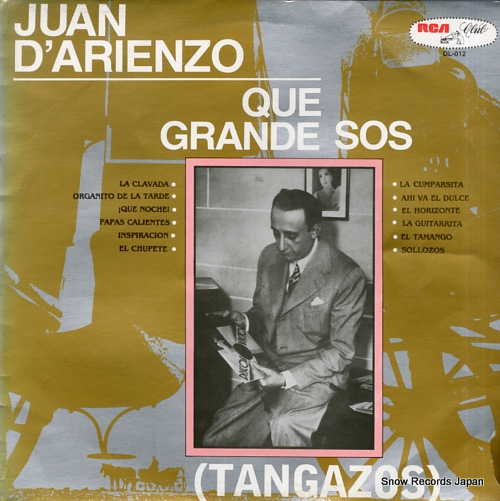 ե󡦥ꥨ que grande sos DL-012