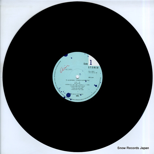 Ѿ t's 12inches RAL-4507