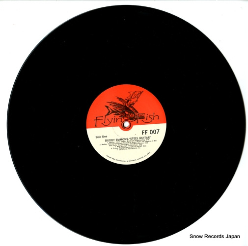 Хǥ steel guitar FF007
