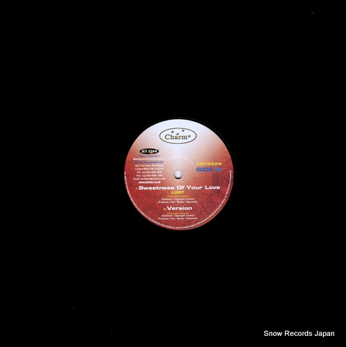 BEENIE MAN missing you CRT3526