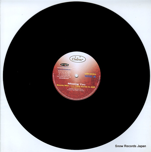 BEENIE MAN missing you CRT3526