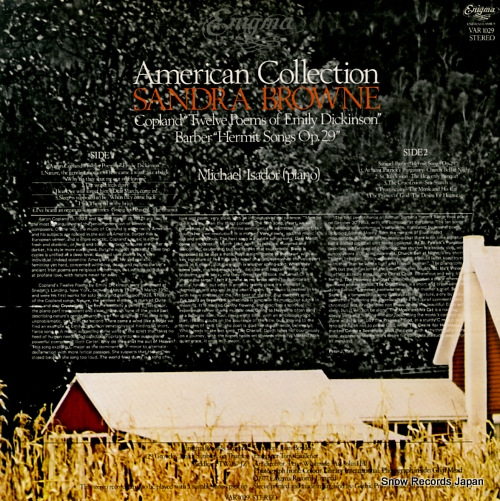 BROWNE, SANDRA american collection VAR1029
