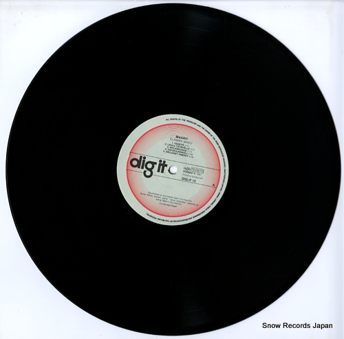 MAARIT elaman maku DIGLP13