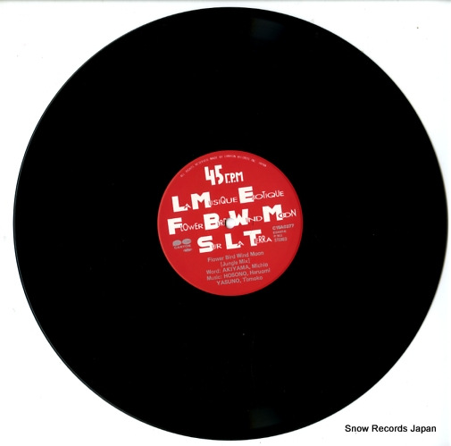 YASUNO, TOMOKO la musique exotique C15A0377