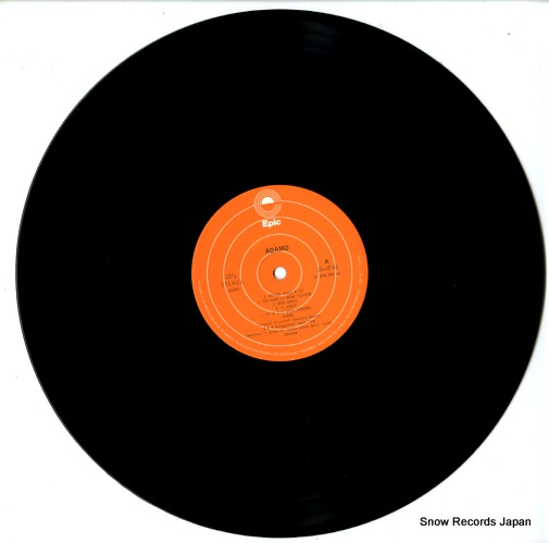 ADAMO adamo 30.3P-48