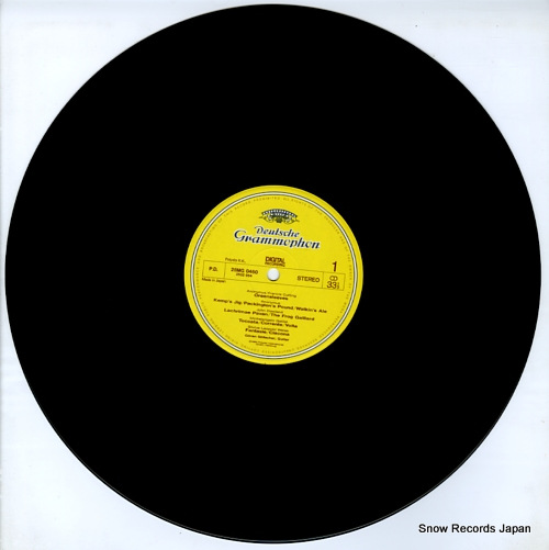 SOLLSCHER, GOREN greensleeves 28MG0460