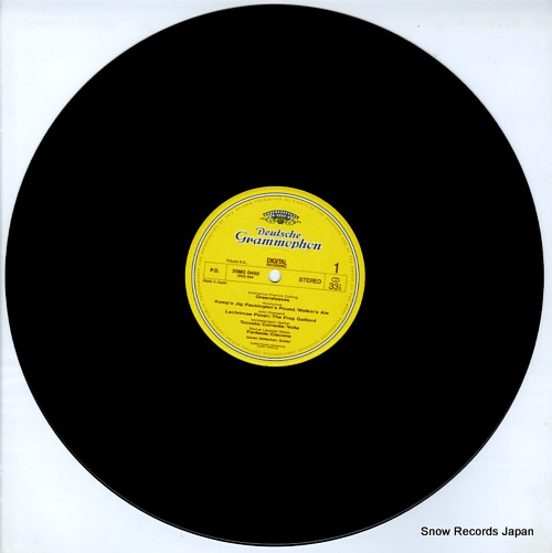 SOLLSCHER, GOREN greensleeves 28MG0460