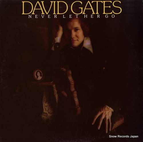 GATES, DAVID never let her go P-8547E