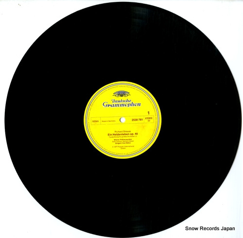 롦١ strauss; ein heldenleben 2530781