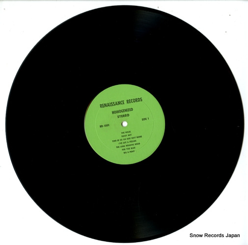 ӡȥ륺 homogenized RR-1001