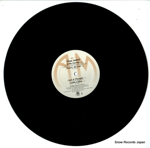 㥹󥱥 chas jankel SP4862