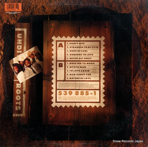 UNDIVIDED ROOTS undivided roots 539885-1
