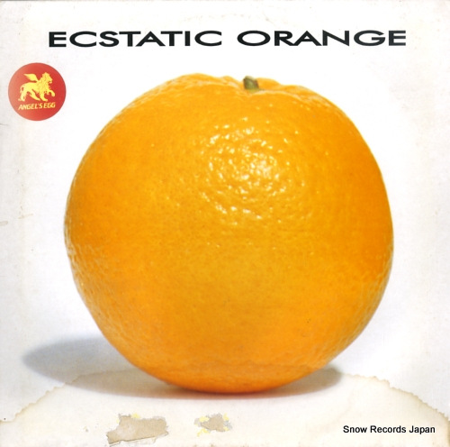 ECSTATIC ORANGE world keeps spinning PGTT30